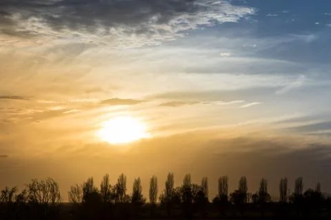 Sunset over silhouetted trees Stock-Fotos