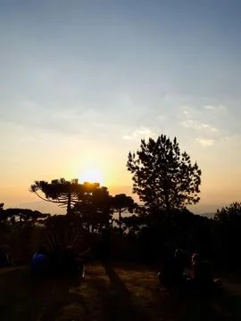Sunset over silhouetted trees Stock Photos