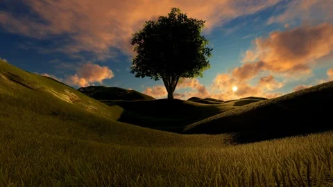 Sunset over Single tree Stock Footage 105154933