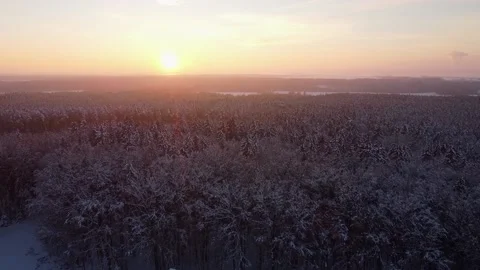 Sunset over the snowy forest Stock Footage 151688215
