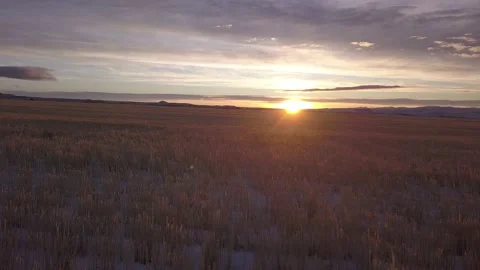 Sunset over snowy wheat field. Stock Footage 166573633