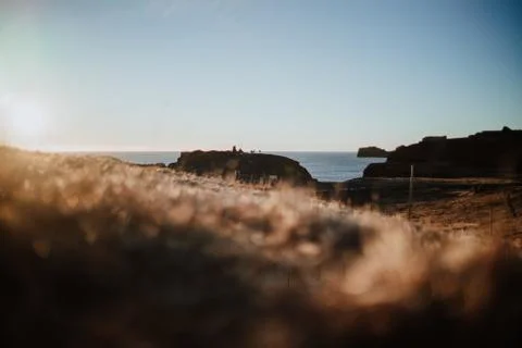 Sunset over some dried out grass in Iceland Stock Photos