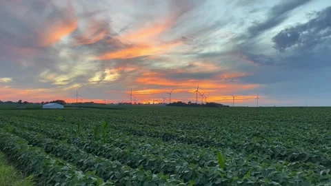 Sunset over soy beans and windmills Video stock 217205304