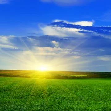 Sunset over the spring field Stock Photos