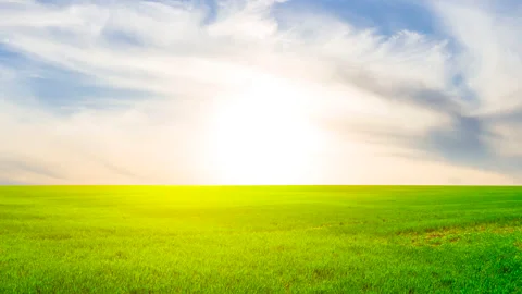 Sunset over a spring fields Vídeos de archivo 330117042