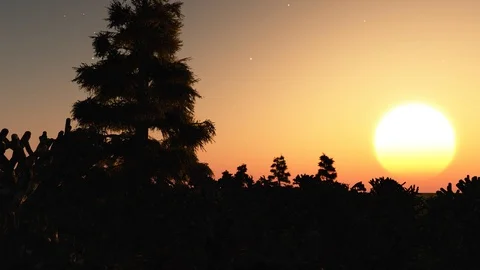 Sunset over strange forest Stock Footage 96065151