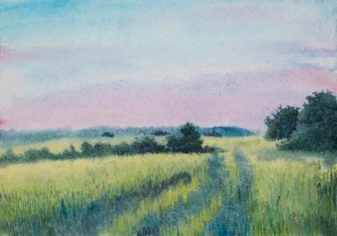 Sunset over the summer field Stock Illustration