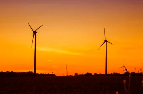 Sunset over sunflower fields with wind turbines. Stock Photos