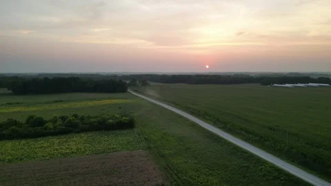 Sunset over the sunflowers Stock Footage 304883738