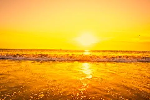 Sunset over the surf. Stock Photos