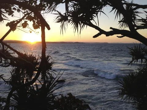 Sunset over surf through Yucca trees Queensland Australia Stock Photos