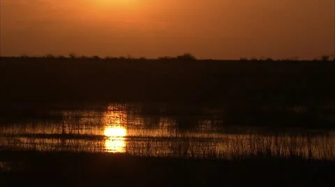 Sunset over swamp Stock Footage 12761456