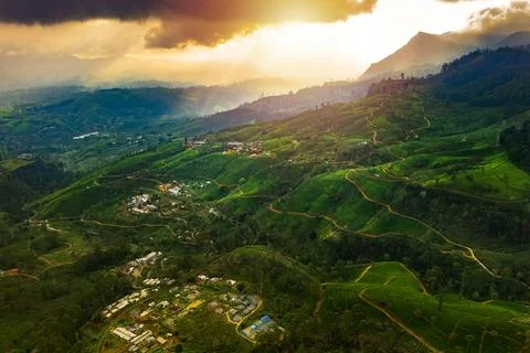 Sunset Over Tea Plantations In Nuwara Eliya Sri Lanka With Scenic Mountains Stock Photos