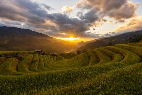 Sunset over Terraced rice fields, Mu Cang Chai, Yen Bai, Vietnam Stock Photos