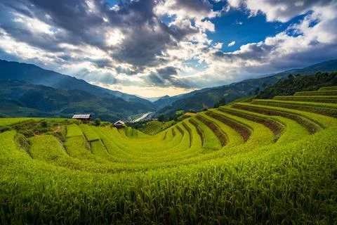 Sunset over Terraced rice fields, Mu Cang Chai, Yen Bai, Vietnam Stock Photos