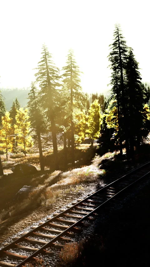 Sunset over train tracks with trees along the way Stock Footage 339416898
