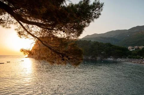 Sunset Over Tranquil Bay with Pine Trees Stock Photos