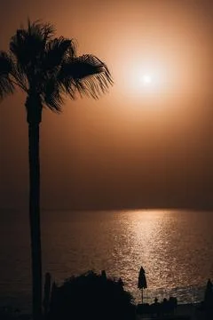 Sunset over a tranquil beach with palm trees silhouetted against a golden sky Stock Photos