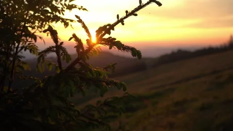 Sunset over a tranquil landscape with silhouetted foliage at golden hour Stock Footage 295149547