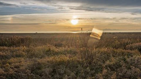 Sunset over a tranquil meadow with distant mountains and warm colors in the s Stock Photos