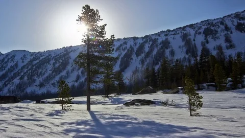 Sunset Over Tree and shadow moving Видео 80325243