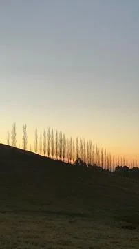 Sunset over the tree-lined horizon Stock Photos