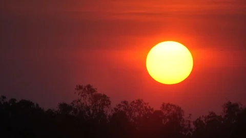 Sunset over the tree, local nature field : 4k Stock Footage 102416292