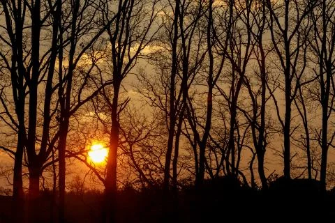 Sunset over tree Stock Photos