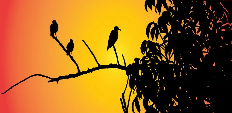 Sunset over the tree three bird siting on the tree branch yellow red background Stock Illustration