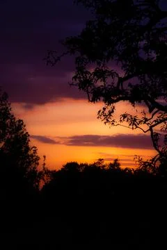 Sunset over trees and clouds in the evening sky Stock Photos