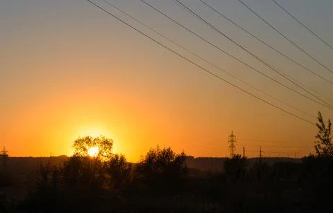 Sunset over trees and power lines Foto stock