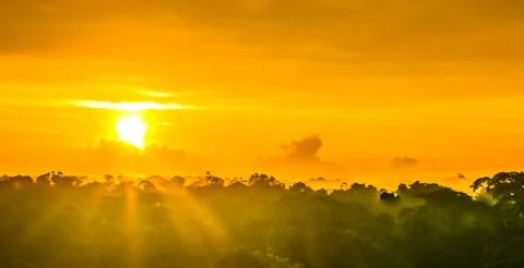 Sunset over the trees in the brazilian rainforest of Amazonas Stock Photos
