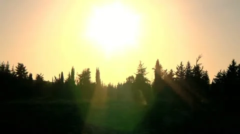 Sunset Over the Trees Stock Footage 10948981