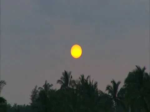 Sunset over Trees Stock Footage 22243649