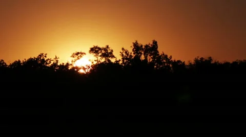 Sunset over the trees Stock Footage 54556213