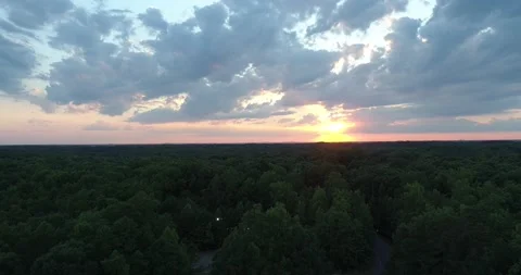Sunset over trees Stock Footage
