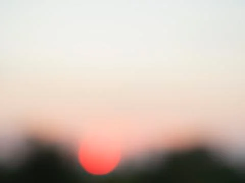 Sunset over trees. Indistinct focus. Stock Photos
