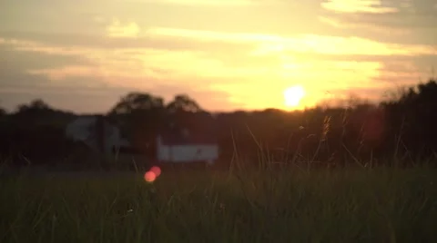 Sunset over trees in Manassas Stock Footage 66608329