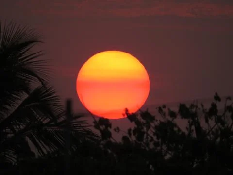 Sunset over the trees Stock Photos