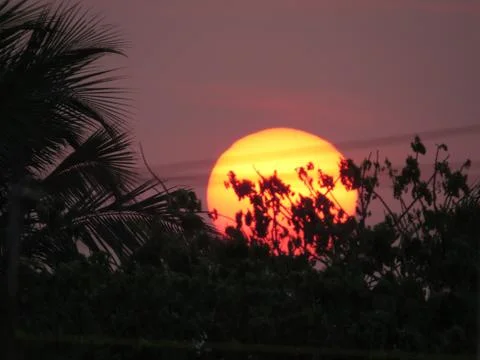 Sunset over the trees Stock Photos