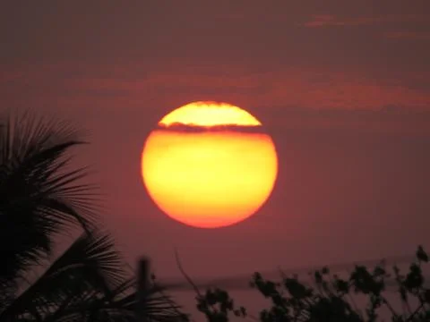 Sunset over the trees Stock Photos