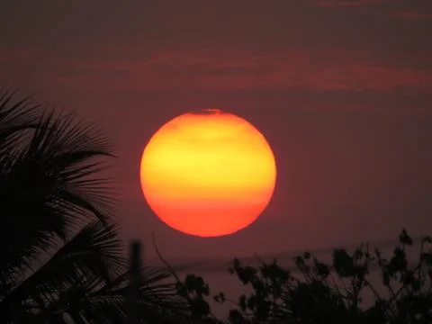 Sunset over the trees Stock Photos