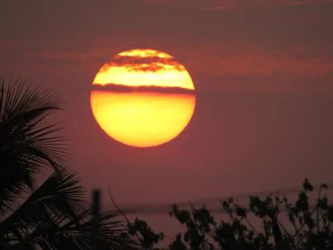 Sunset over the trees Stock Photos