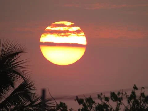 Sunset over the trees Stock Photos