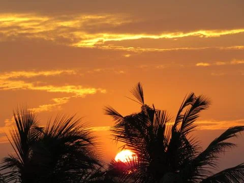 Sunset over the trees Stock Photos