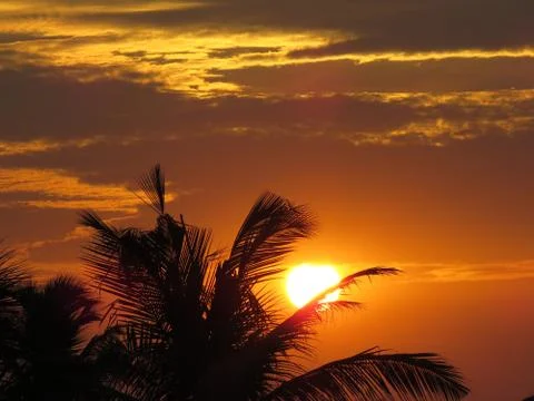 Sunset over the trees Stock Photos