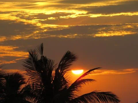 Sunset over the trees Stock Photos