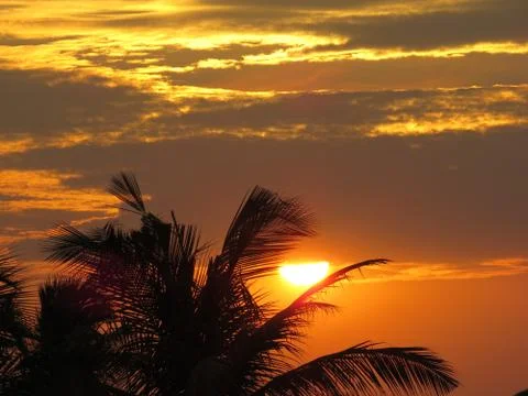 Sunset over the trees Stock Photos