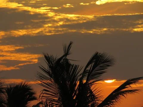 Sunset over the trees Stock Photos