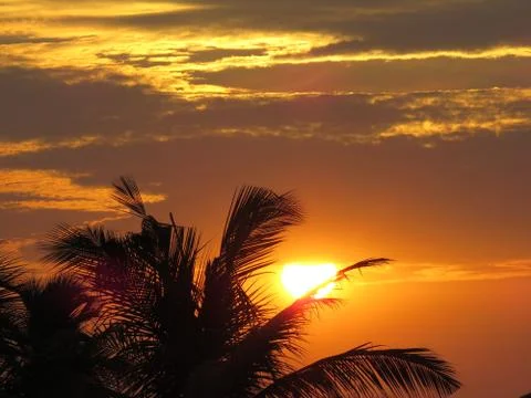 Sunset over the trees Stock Photos